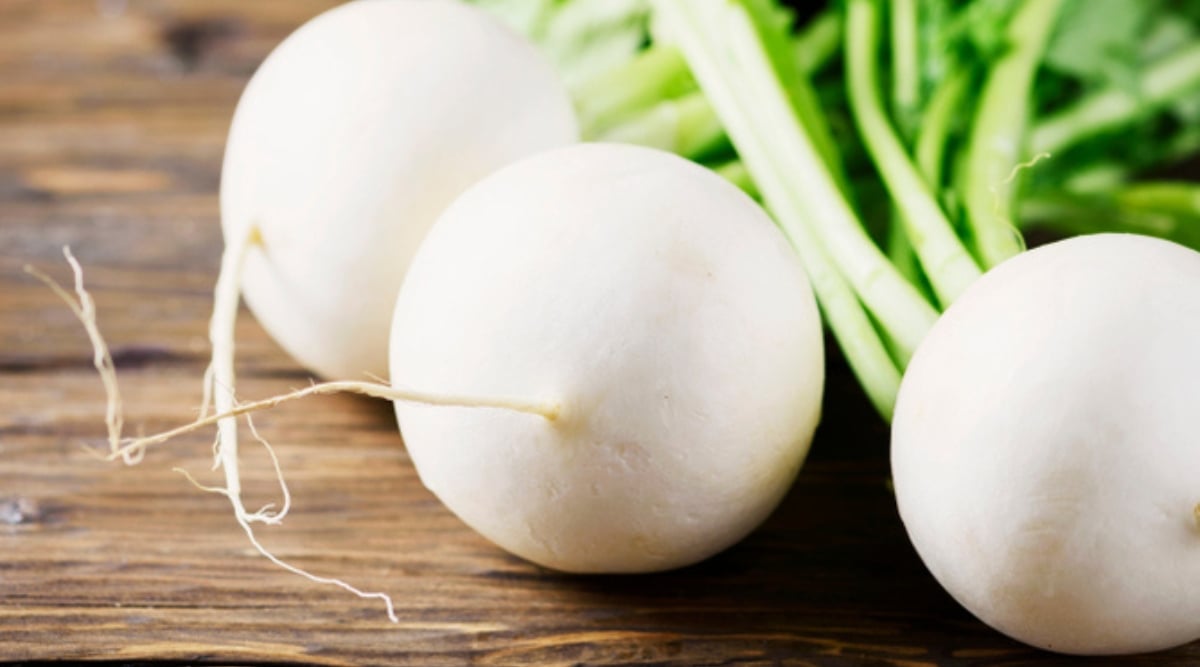 Close up of three smooth round white turnips with very small thin stringy roots coming from the end. Sturdy light green stems emerge from the tops of these turnips. They are resting on the surface of a wooden table.
