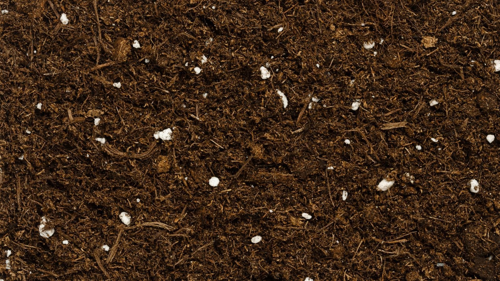 A close-up shot of organic potting mix with compost made with various organic materials in a well lit area.