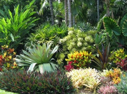 A lovely coastal garden with various plants, appearing to have lush greens and different colored blooms and foliage