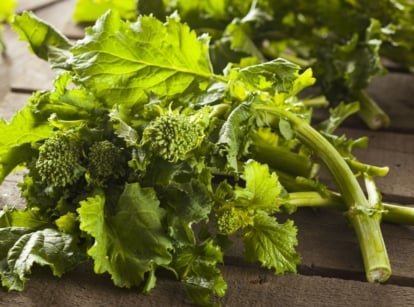 A shot of a rapini broccoli rabe crop placed on a wooden surface