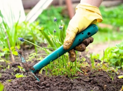 A gardener in yellow gloves with a green hoe is doing one of the April garden tasks - removing weeds from a flower bed.