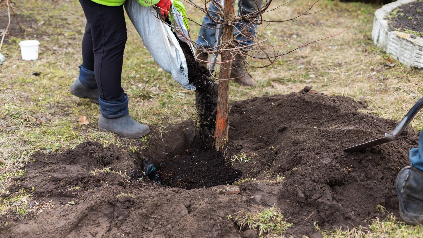 A person in gloves and a high-visibility vest shovels soil around a newly planted sapling.