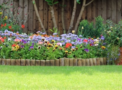 A row of flowering herbaceous plants, including purple Aster, orange Tagetes, and red Salvia splendens, bordered by short vertical logs beside trimmed green grass.