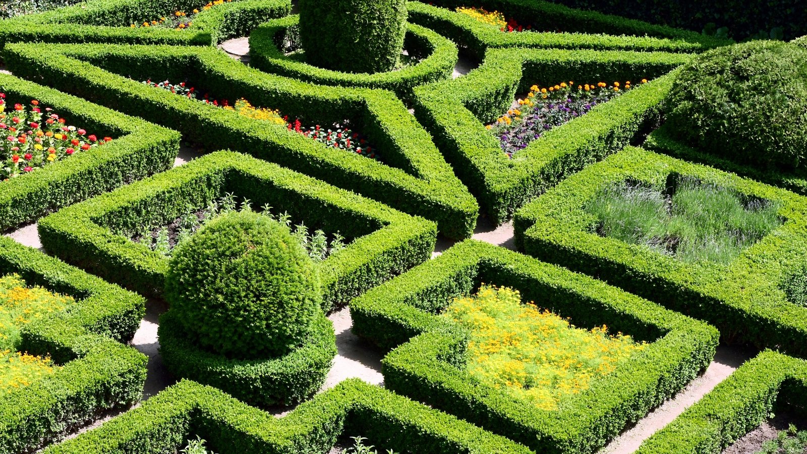 The maze garden is characterized by meticulously trimmed boxwood bushes arranged in intricate patterns, interspersed with vibrant flowering plants, creating a captivating and enchanting labyrinthine landscape.