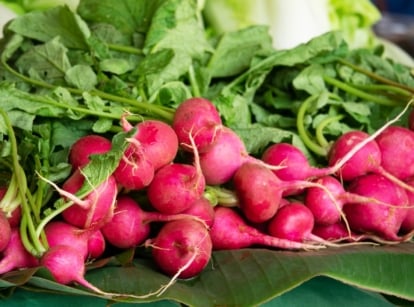 A pile of vibrant red, round roots with long green leafy tops stacked on large leaves, displayed fresh and ready for market.