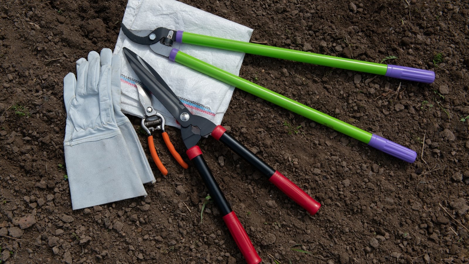 A set of red, green, purple, and orange plant markers lie next to gardening gloves on dark soil.