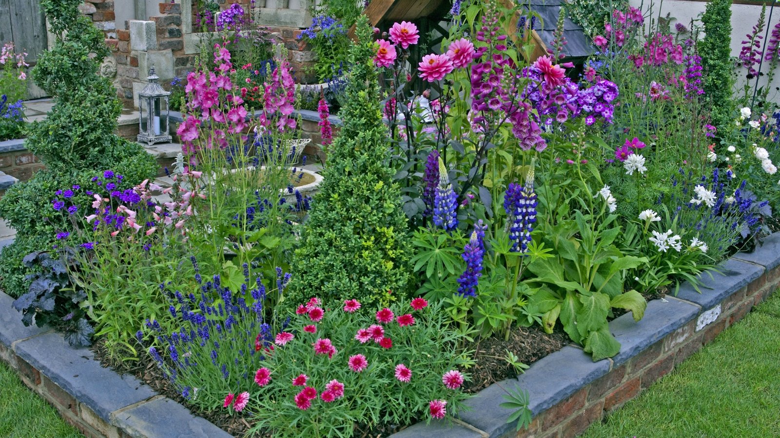A raised bed bursting with lush green foliage and a variety of bright, blooming flowers in shades of blue, purple, and white.