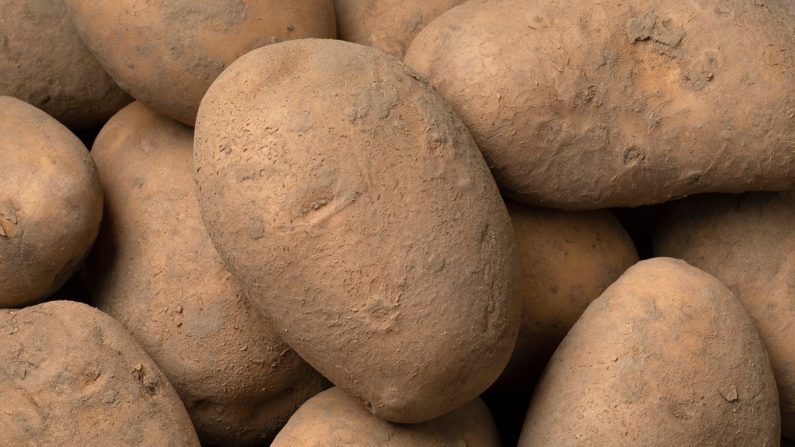 A close-up reveals a cluster of Bintje potatoes, their skin textured with earthy brown hues and a fine layer of dust. Each potato rests snugly against the others, showcasing their natural, unblemished form.