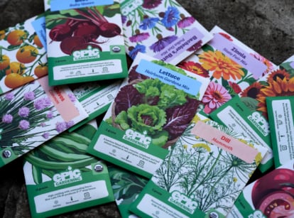 Epic Seed bundles