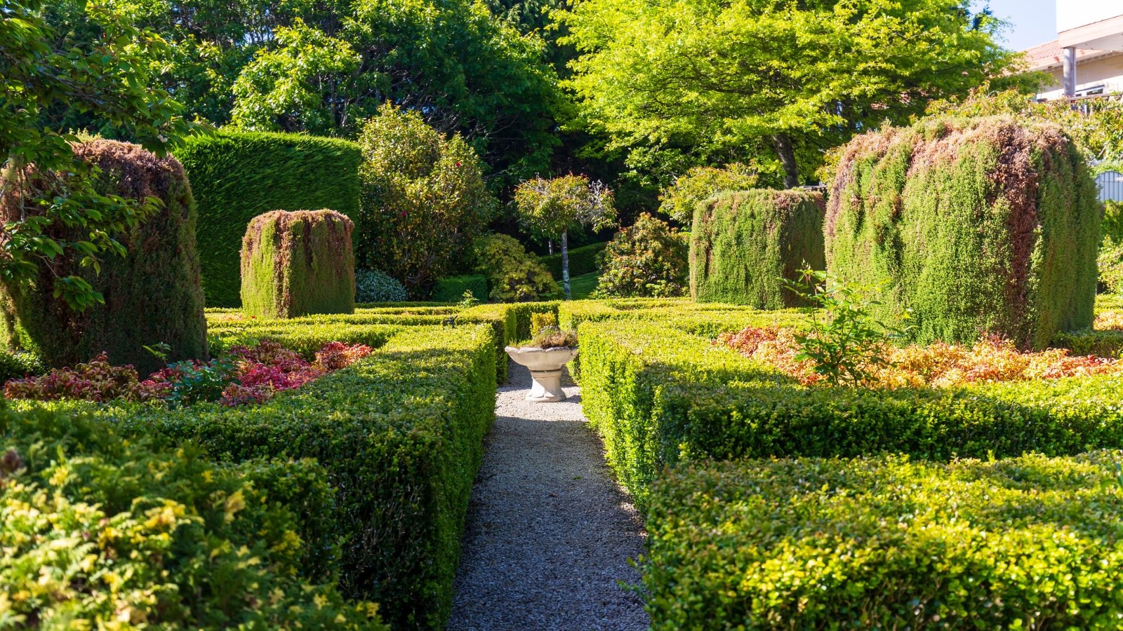 The formal garden design features tall Arborvitaes creating a verdant backdrop, meticulously trimmed Common box hedges outlining elegant pathways, an old concrete ornate fountain adorned with various thriving plants, and a harmonious mix of other trees and bushes, all contributing to a refined and structured aesthetic.