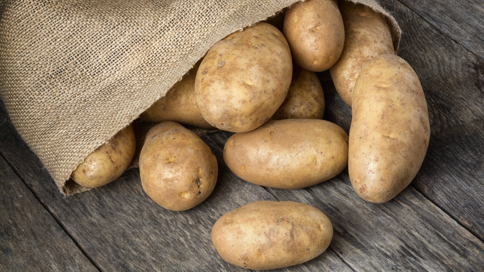 A burlap sack spills German Butterball potatoes onto a rustic wooden table, showcasing their golden-brown skins. The table's grain complements the earthy hues, enhancing the organic appeal of the freshly harvested spuds.