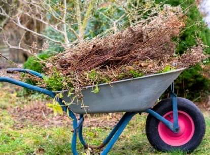 A large wheelbarrow filled with garden debris, branches, weeds, leaves from an early garden cleanup, which can have a negative effect on pollinators.