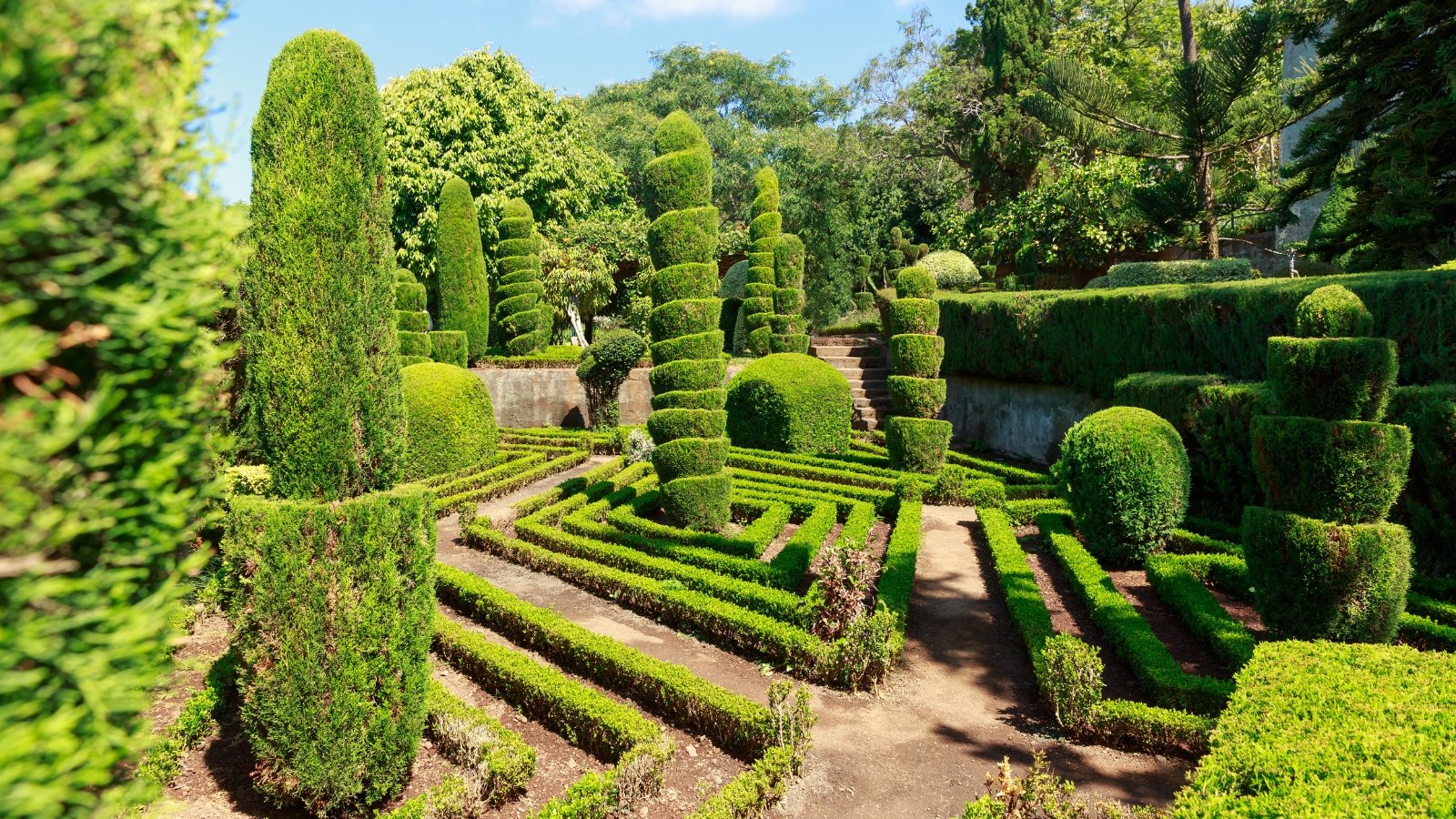 The formal garden boasts an array of expertly sculpted topiaries, meticulously shaped into geometric and whimsical forms, creating an elegant and visually striking landscape.