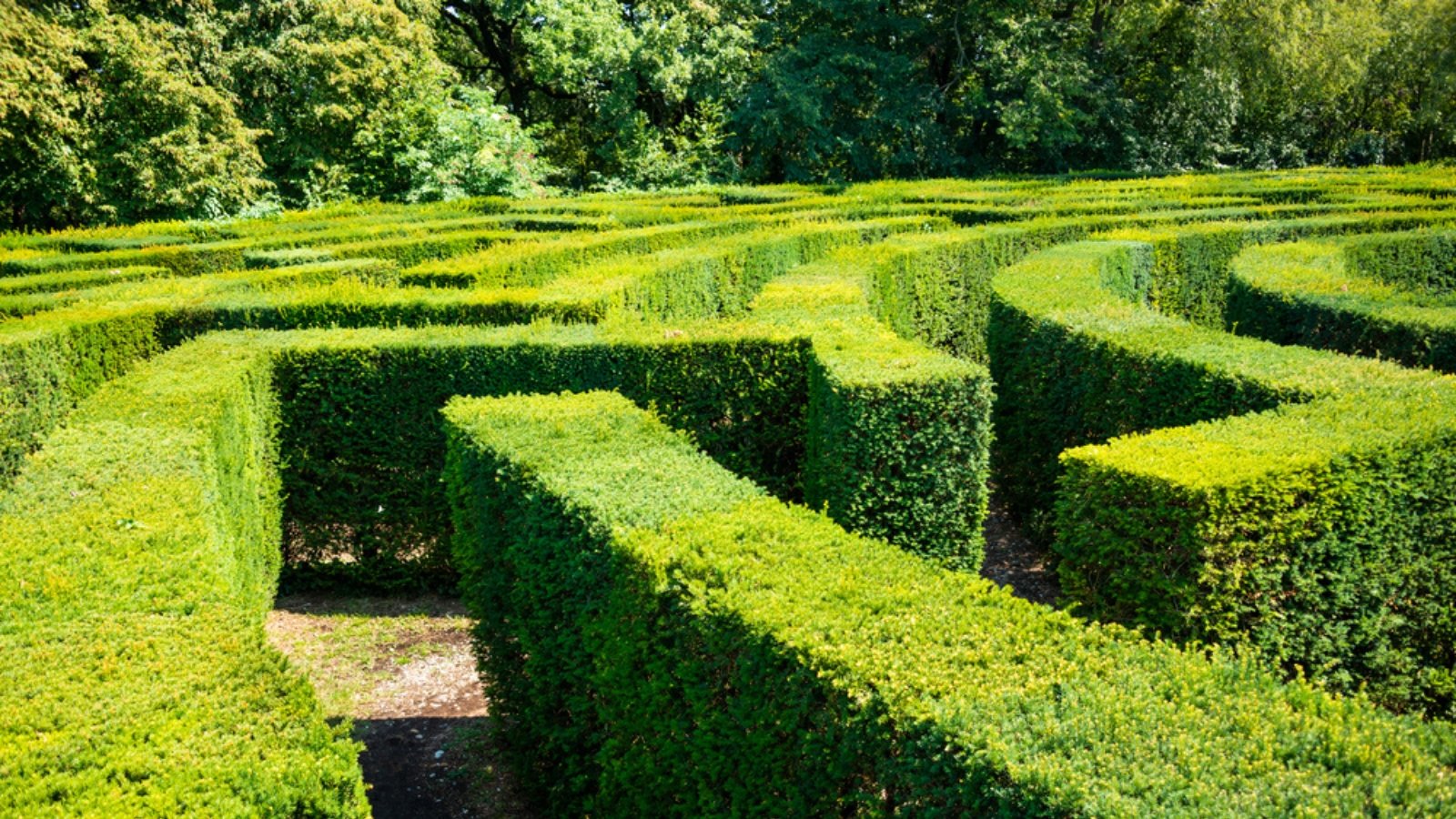 The garden features a captivating green maze crafted from meticulously trimmed boxwood bushes, offering an enchanting and labyrinthine experience.