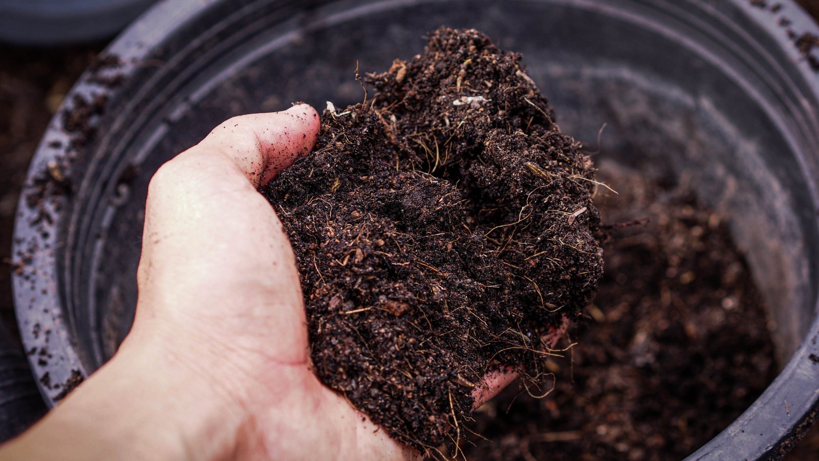 A person’s hand scoops a handful of dark, rich soil from a black container.