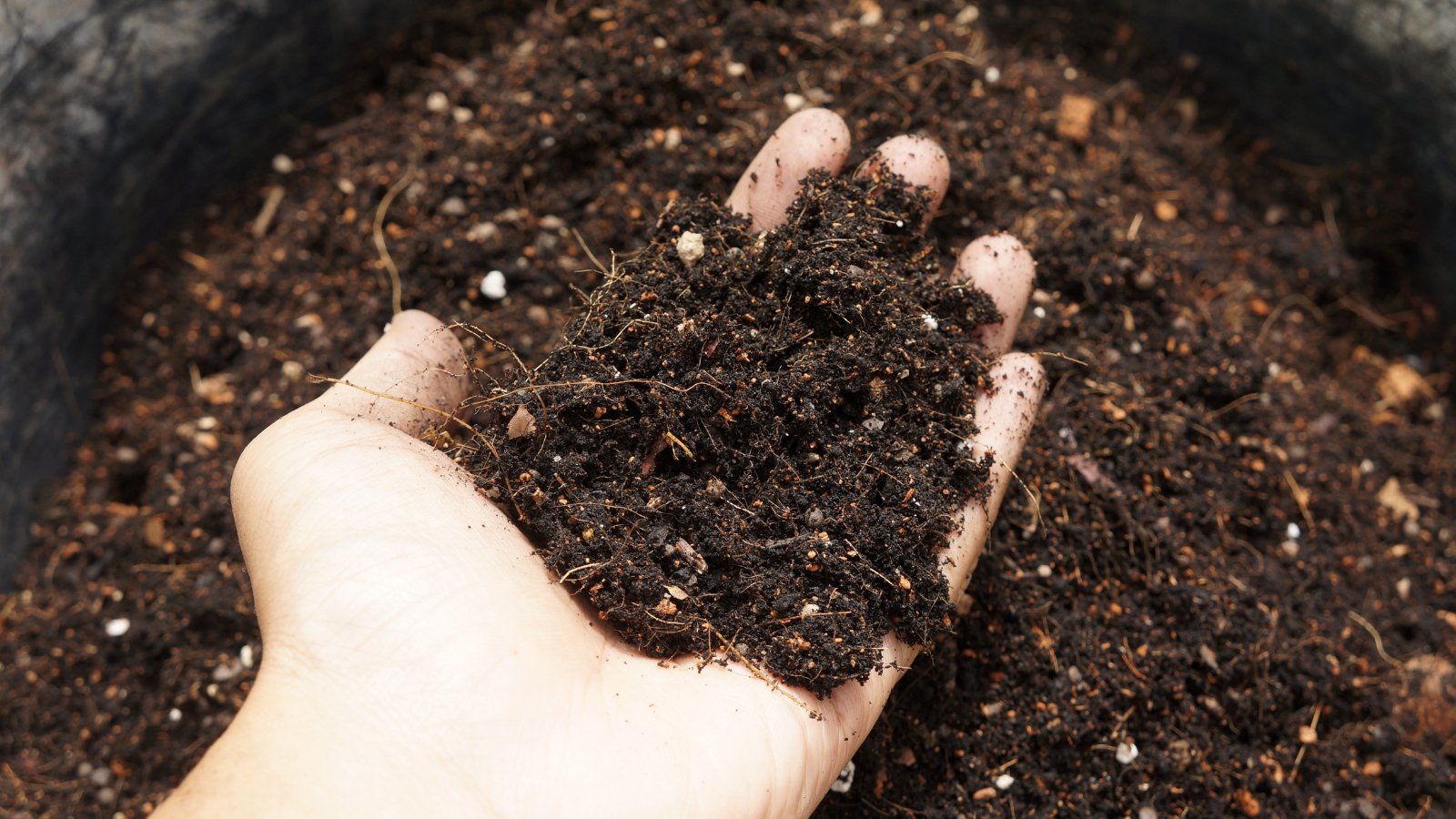 A hand holding crumbly, dark compost with visible organic material, showing its texture and consistency.