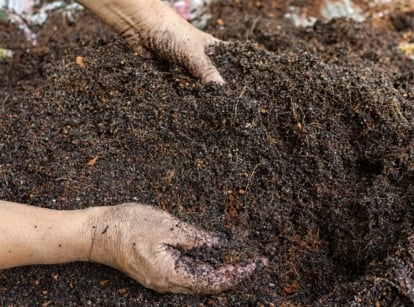 Hands blending dark, organic compost with small bits of decayed leaves and twigs, ready for planting preparation.