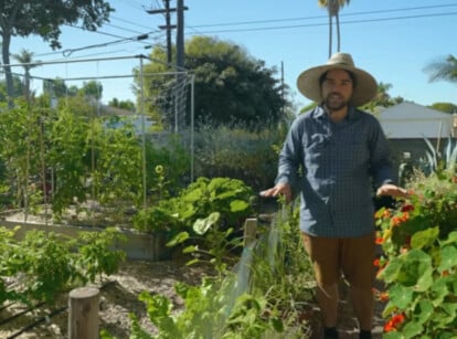 Jacques, the Garden Hermit