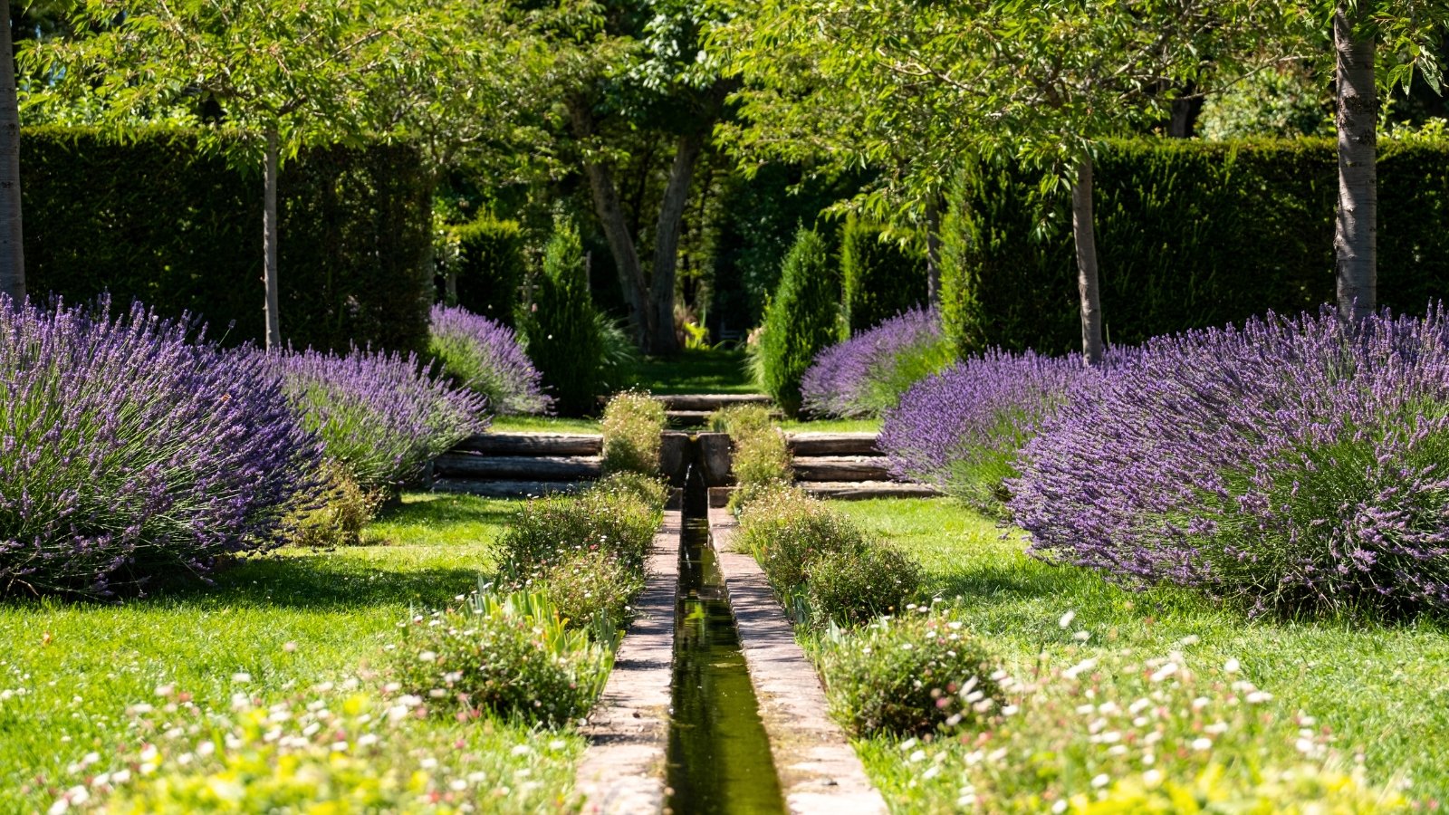 View of a classical garden featuring thuja hedges, diverse trees, and flowering lavender bushes lining a narrow water channel bordered by a decorative border.