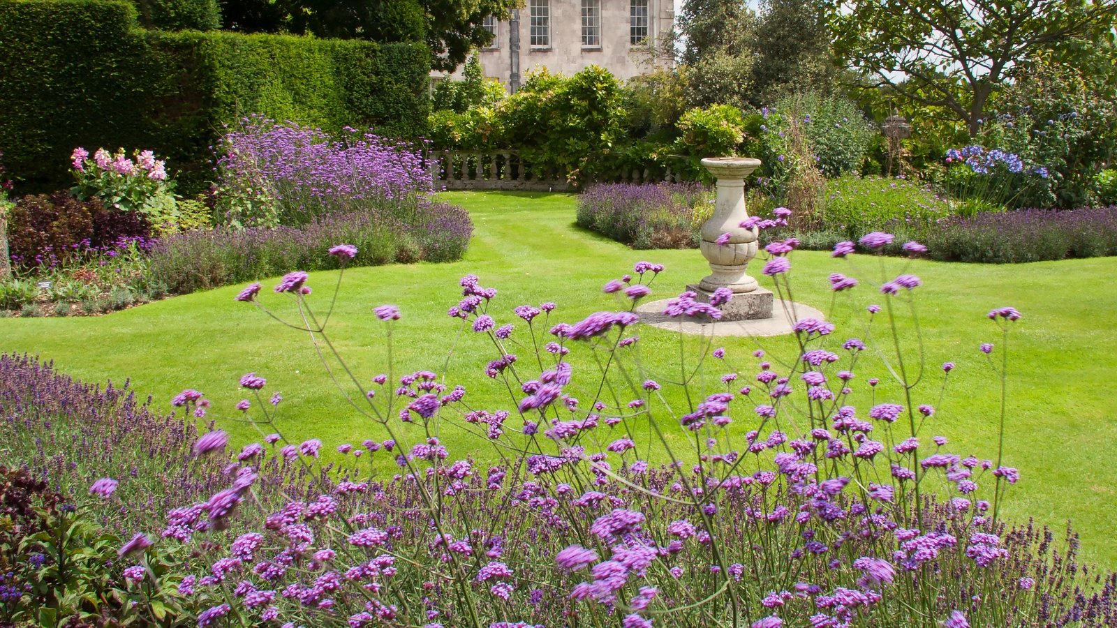 View of a large English garden estate with a formal style garden, which features a stone fountain, hedges, neat flowerbeds with a variety of flowering plants in shades of purple.