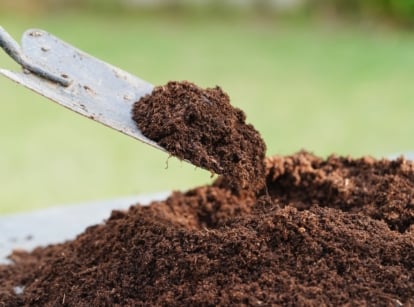 A close-up of dark brown, crumbly material being scooped with a trowel.