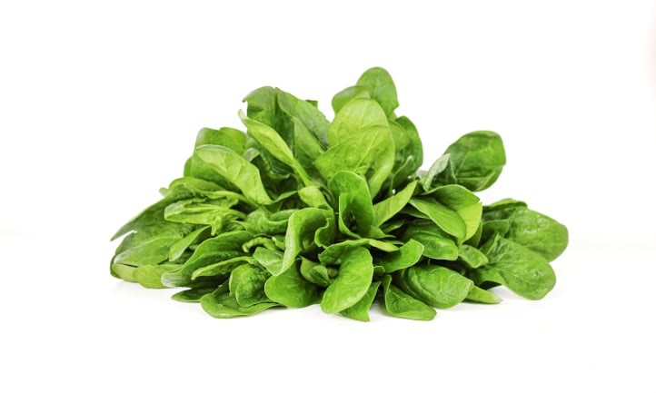Matador spinach