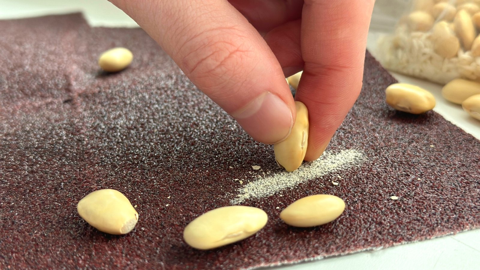 Mechanical Abrasion of bean seeds. Close-up of a man's hand abrading the top layer of a bean seed by rubbing it on sandpaper on a light windowsill. Sandpaper is a textured abrasive material with a rough and gritty surface. Bean seeds are scattered on the windowsill. They are oval in shape, creamy white in color with a glossy texture.