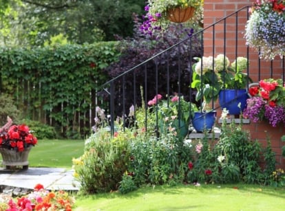 Salvia, bright marigolds, and red roses growing closely together with lush green foliage.