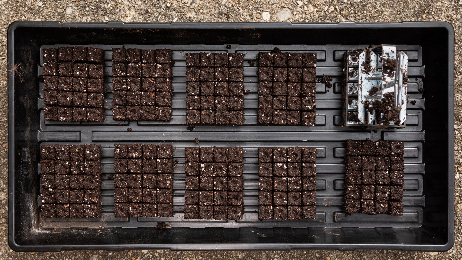 A wide view of rows upon rows of small, uniformly cut brown cubes neatly arranged in a tray, each featuring small indentations at the center, ready to support young seedlings and create a structured planting layout.