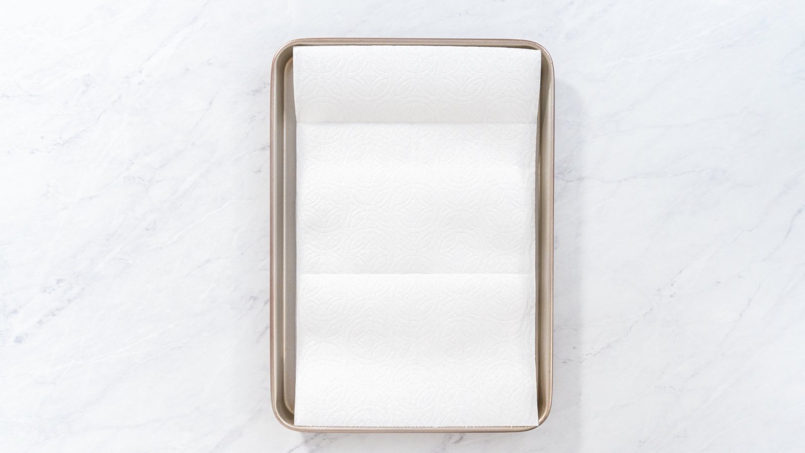 White folded paper towels arranged inside a shallow rectangular tray, ready for Mangifera indica germination.
