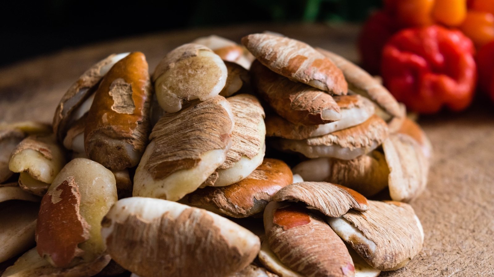 Several dry, fibrous Mangifera indica husks piled together, with brown textures and curved edges exposed.