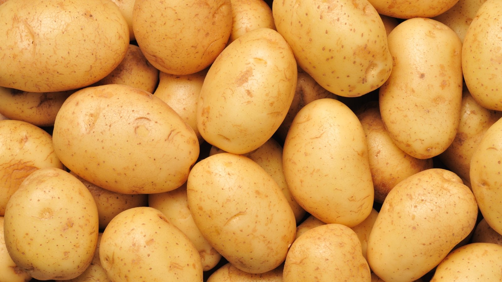 A bunch of yellow Yukon Gold potatoes stacked together, their smooth skin gleaming under the light. Each potato boasts a vibrant golden hue, hinting at the earthy richness within.