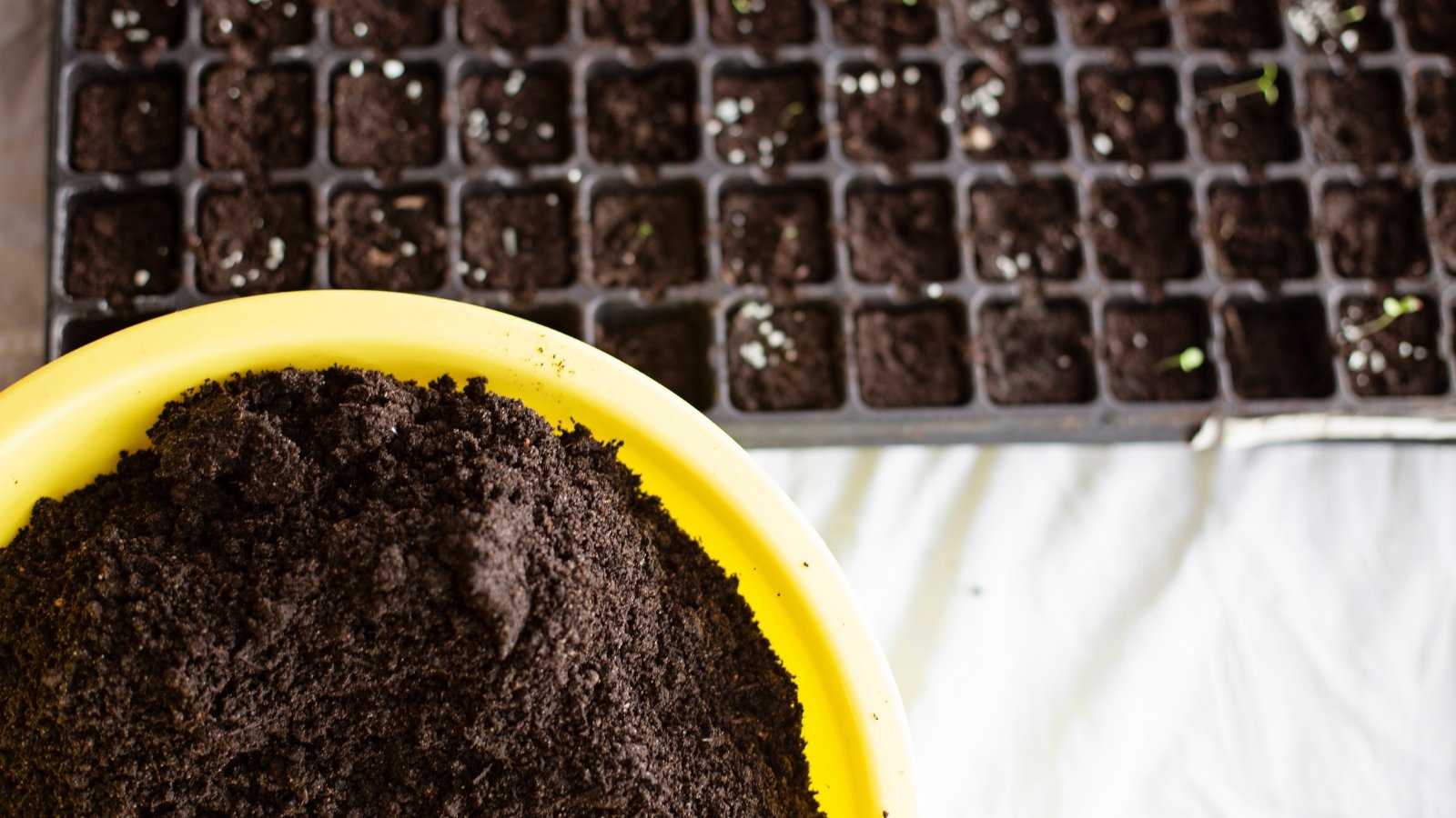 A close-up of dark material being carefully poured from a large yellow bucket into a grid-style tray, where rows of small square openings wait to be filled, the action taking place on a smooth white surface.