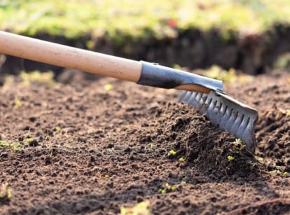 Preparing the soil for spring with a large garden rake.