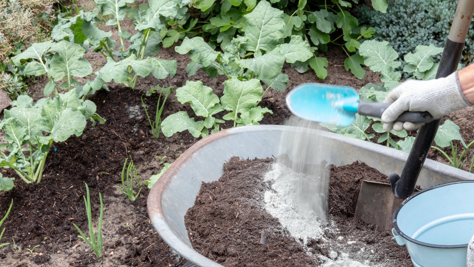 A gardener sifting soil through a metal mesh, ensuring a fine texture for planting new crops.