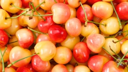 Juicy, two-toned cherries in shades of pale yellow and soft red rest in a colorful heap.