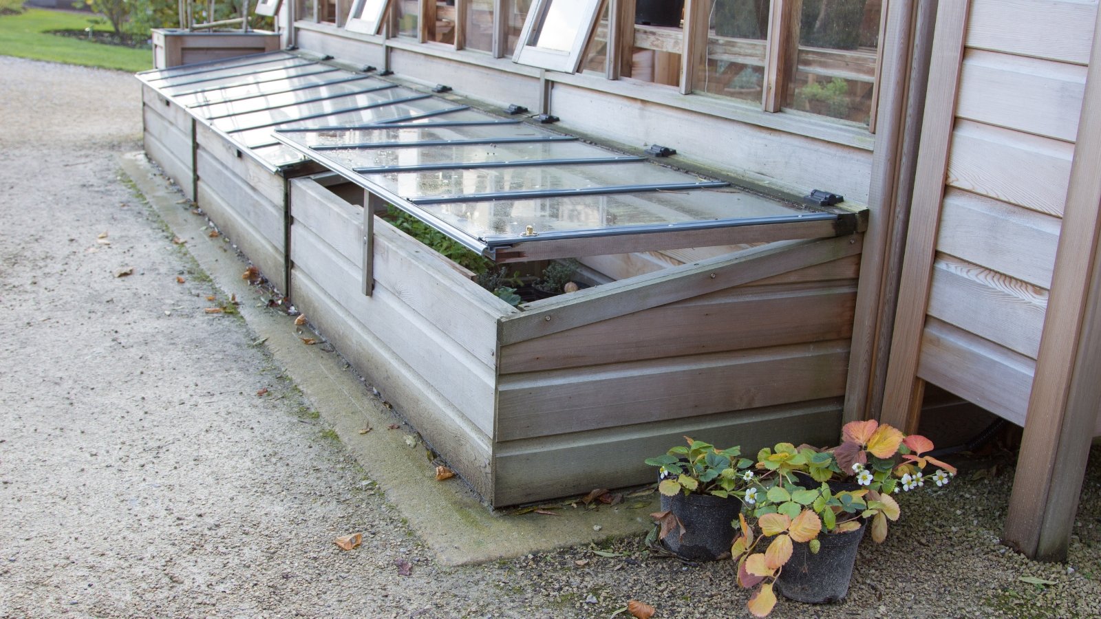 Several raised garden beds filled with soil, positioned beside a wooden building with a gravel path.