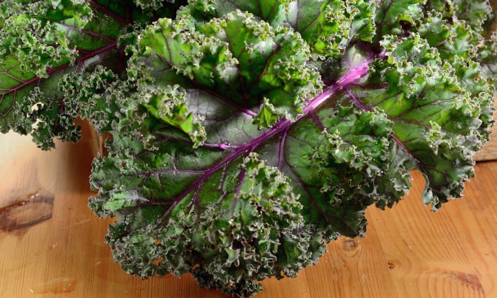 Red Russian kale leaves