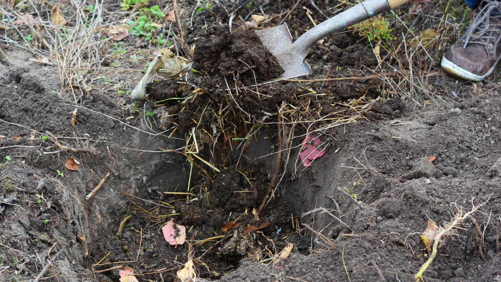 A gardener uses a spade to lift tangled grass and roots, exposing dark soil underneath.