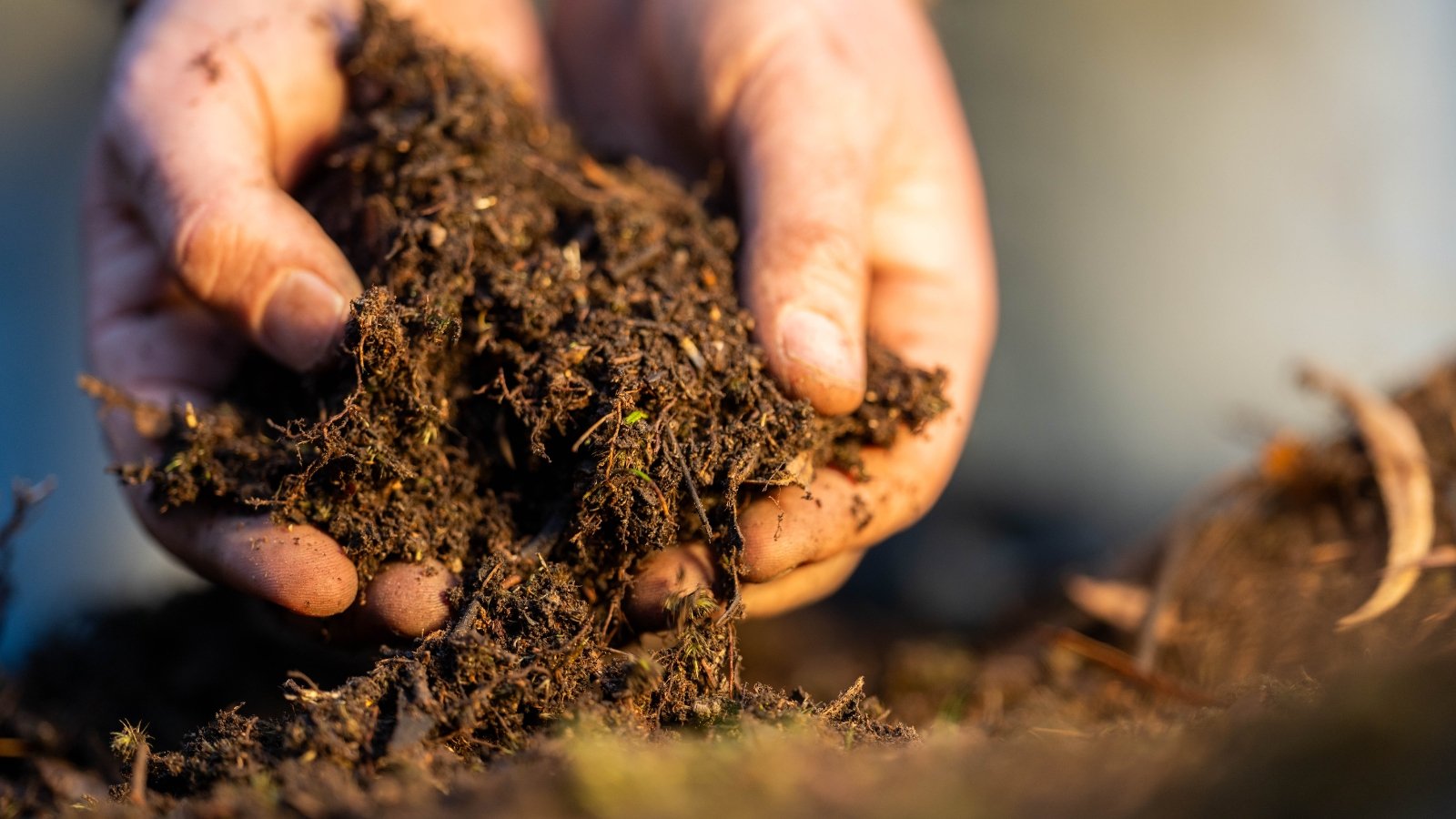 A close-up of hands holding dark, crumbly soil with small organic particles.