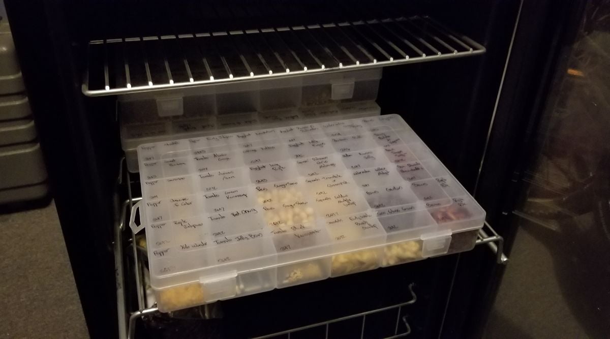 The bottom shelf of the cool storage beverage cabinet from earlier in this piece. The top shelf is empty, and one of the wire racks is pulled out. On this shelf is a clear plastic container with 36 compartments. Each contains a different kind of seed. The lid of the container is labeled by the type of seed in each compartment.