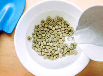 Warm water cascades into a white bowl brimming with vibrant green pea seeds. Some huddle together, others dance solo, anticipating their transformation. A miniature blue shovel leans patiently in the background.
