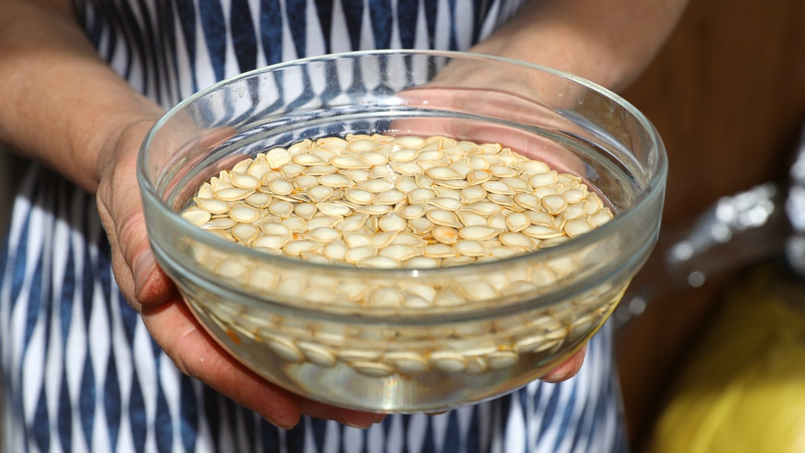 bowl of seeds soaking in water