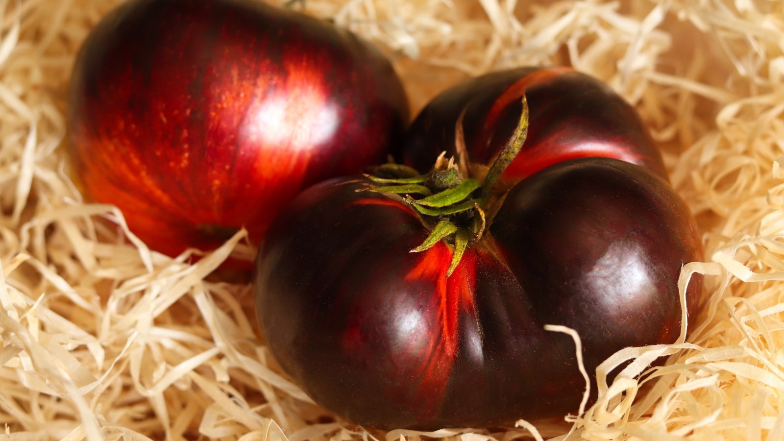 Deep purple-brown tomatoes with smooth skin glistening in the sunlight amid dry straw.