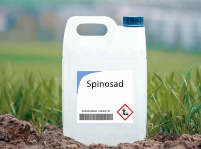 A bottle of spinosad substance in a white bottle with a deep green cap, placed on dark brown soil with bright green blades of grass in the background