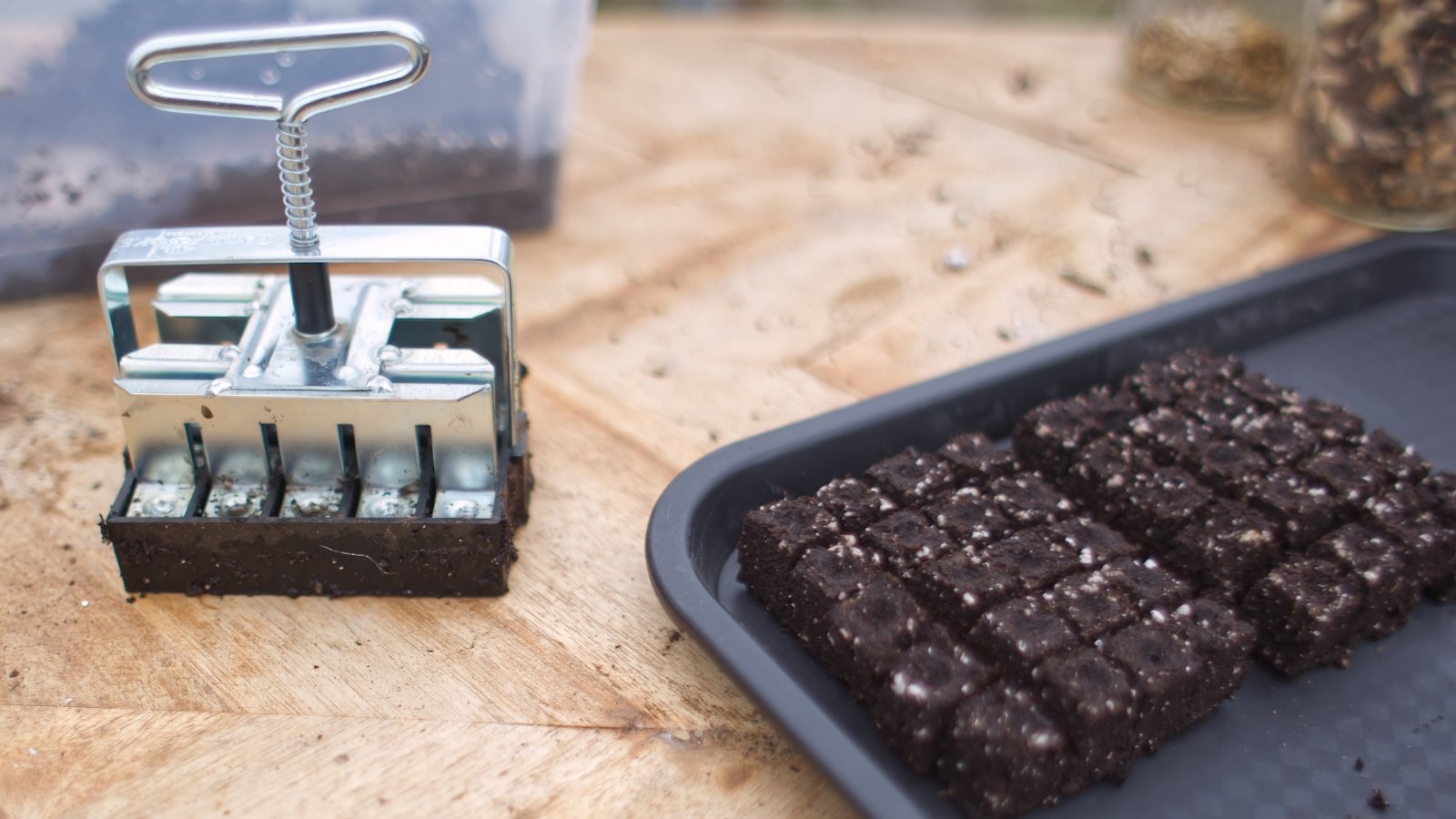 A silver pressing tool rests beside a tray of freshly created brown cubes, each cube evenly shaped and compact, waiting to be filled with seeds, as the background features a simple wooden surface supporting the setup.