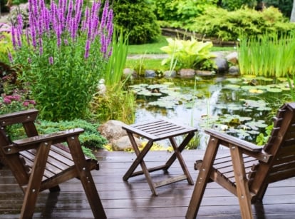 A wooden table and two chairs beside a pond, surrounded by tall purple Lythrum salicaria.