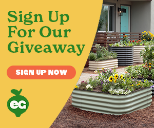 giveaway ad